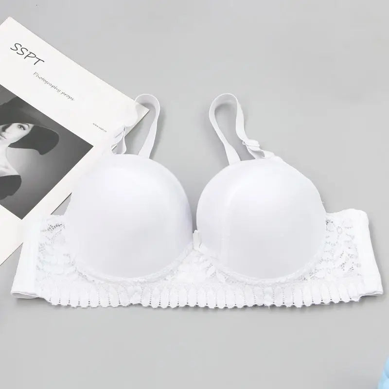 DaiNaFang Push Up Bras For Women Pink Blue Black Gray Beige White Burgundy Underwear Lace Minimize Seamless Lingerie