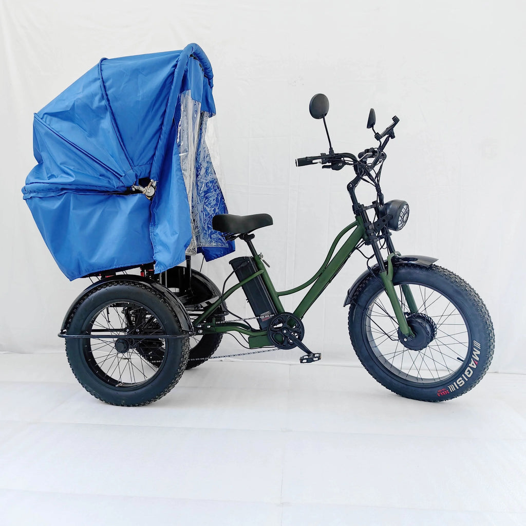 Transportation Vehicle  Bike  2024 Electric 3 Wheeler Trike Fat Tire ThreeWheel Electric Cargo Bicycle with Canopy