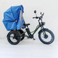 Transportation Vehicle  Bike  2024 Electric 3 Wheeler Trike Fat Tire ThreeWheel Electric Cargo Bicycle with Canopy