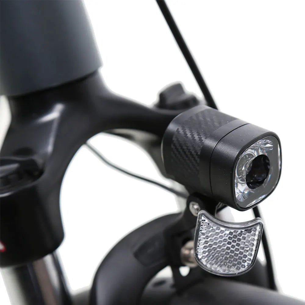 TXED Electric City Bike36V/20Ah Lithium Battery Mid Moto Nexus 8S Hydraulic Disc Brake Dutch Electric City Bike