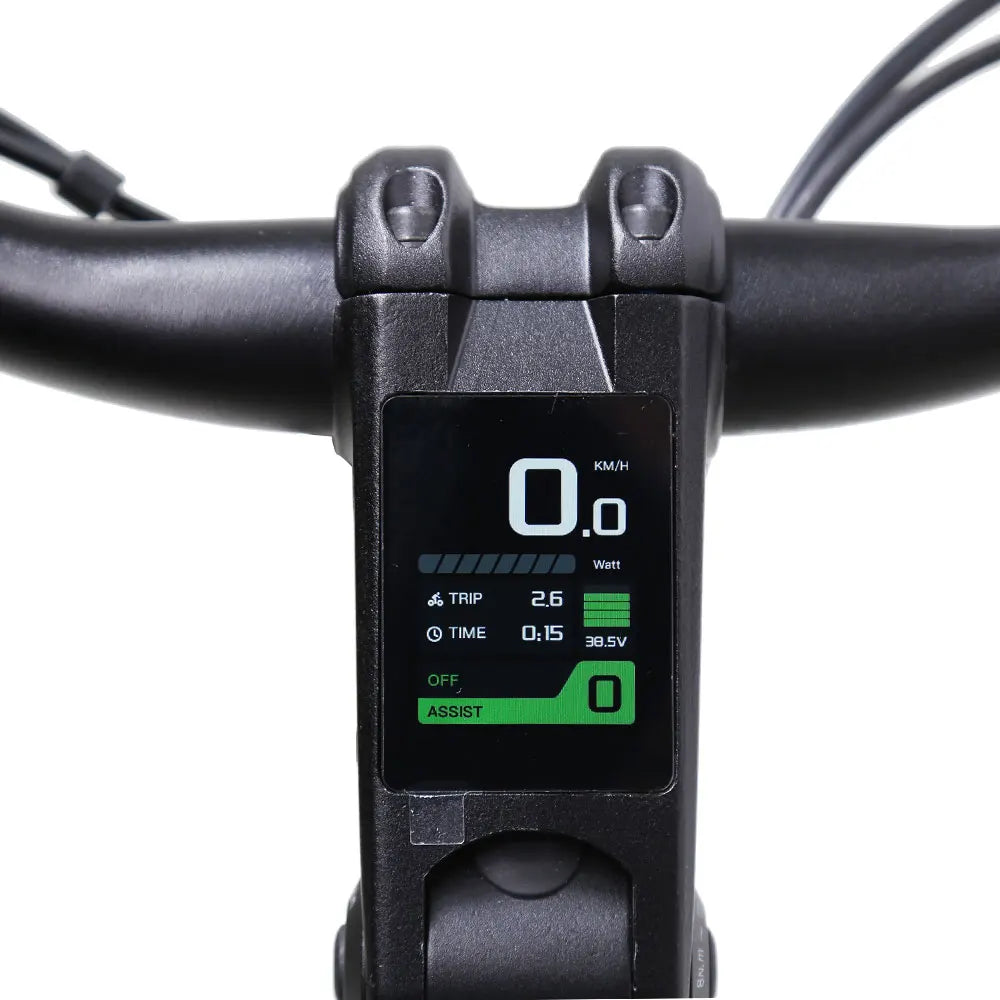 TXED Electric City Bike36V/20Ah Lithium Battery Mid Moto Nexus 8S Hydraulic Disc Brake Dutch Electric City Bike