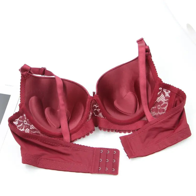 DaiNaFang Push Up Bras For Women Pink Blue Black Gray Beige White Burgundy Underwear Lace Minimize Seamless Lingerie