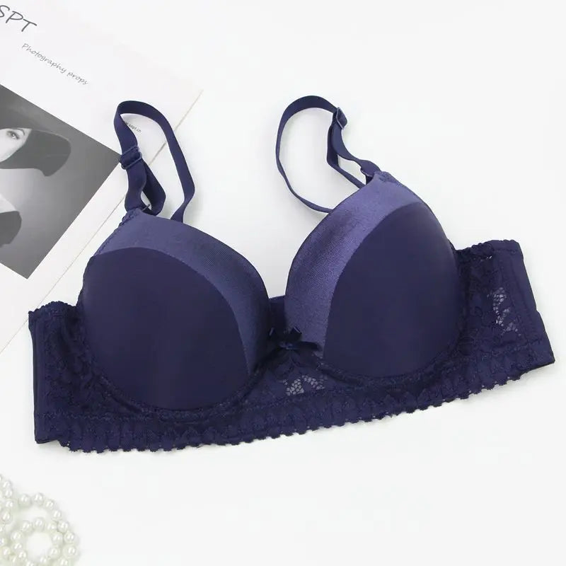 DaiNaFang Push Up Bras For Women Pink Blue Black Gray Beige White Burgundy Underwear Lace Minimize Seamless Lingerie