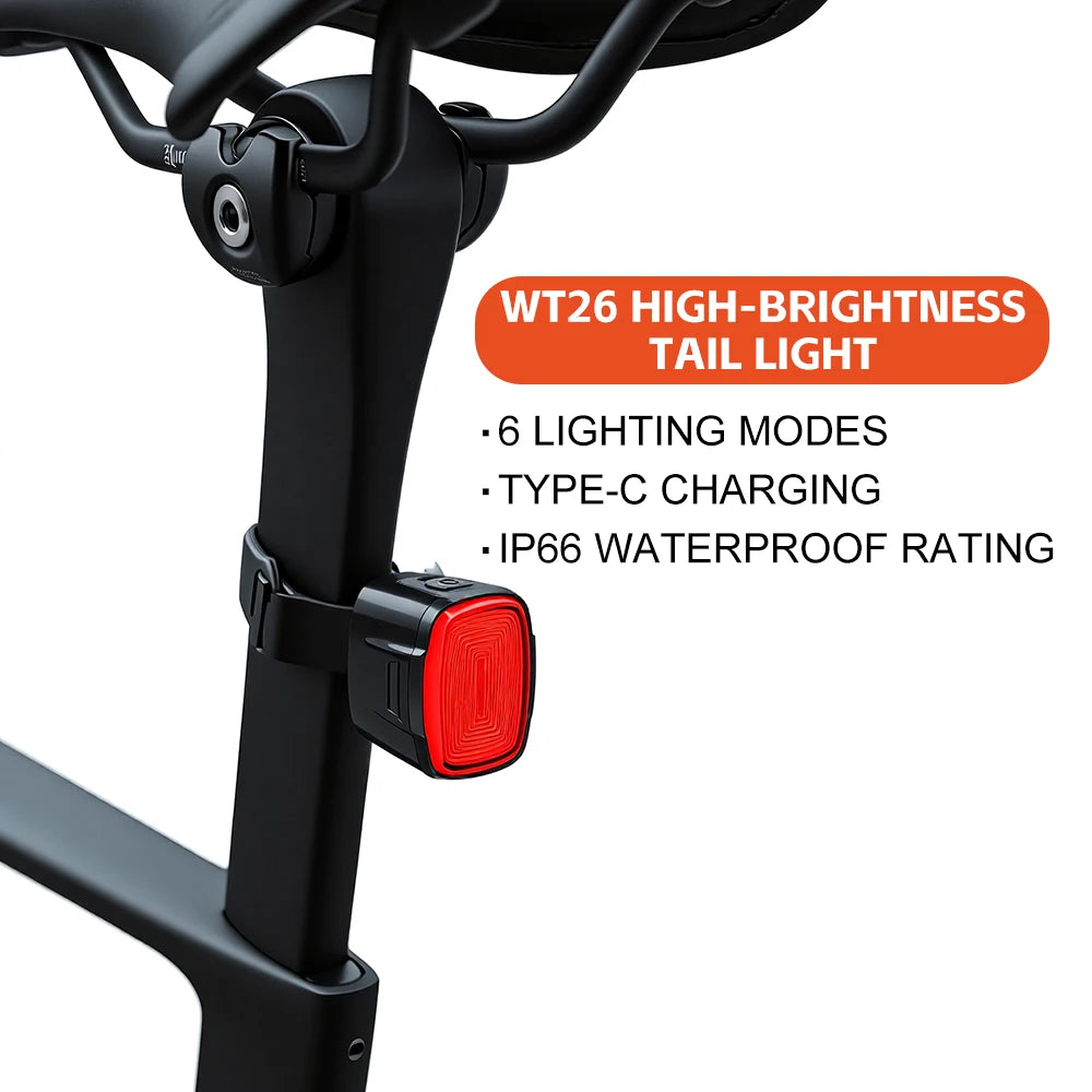 LITERIDE USB Rechargeable Bicycle Tail Light, IP66 Waterproof LED Rear Lamp for MTB Road Bike Cycling