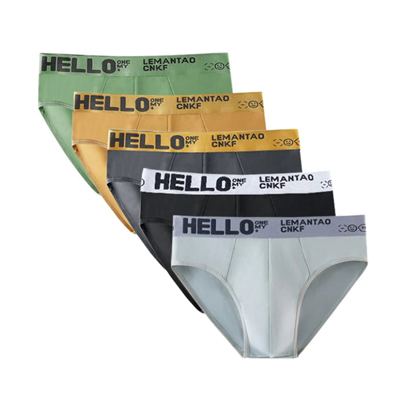 5Pcs Men Underwears Ventilate Men's Briefs Breathable Male Large Size L-5XL Comfortable Solid Underpants Fashion Boy Panties