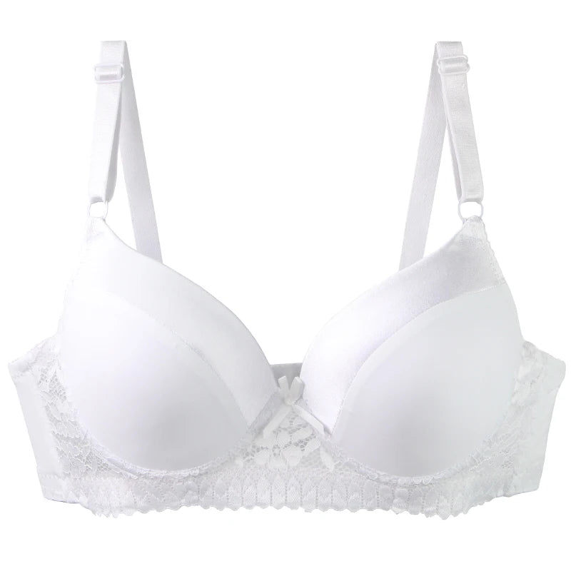 DaiNaFang Push Up Bras For Women Pink Blue Black Gray Beige White Burgundy Underwear Lace Minimize Seamless Lingerie