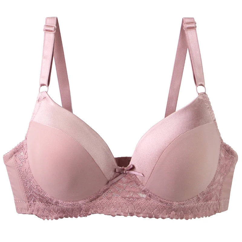 DaiNaFang Push Up Bras For Women Pink Blue Black Gray Beige White Burgundy Underwear Lace Minimize Seamless Lingerie