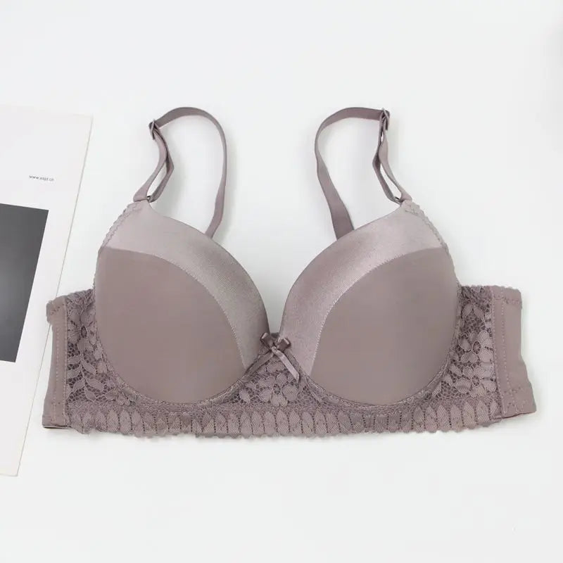 DaiNaFang Push Up Bras For Women Pink Blue Black Gray Beige White Burgundy Underwear Lace Minimize Seamless Lingerie