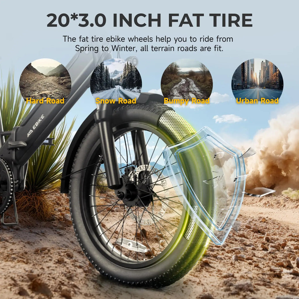 EU Stock F00B 20" Foldable Fat Tire Electric Bike: 36V 630W Rear Hub Motor Ebike
