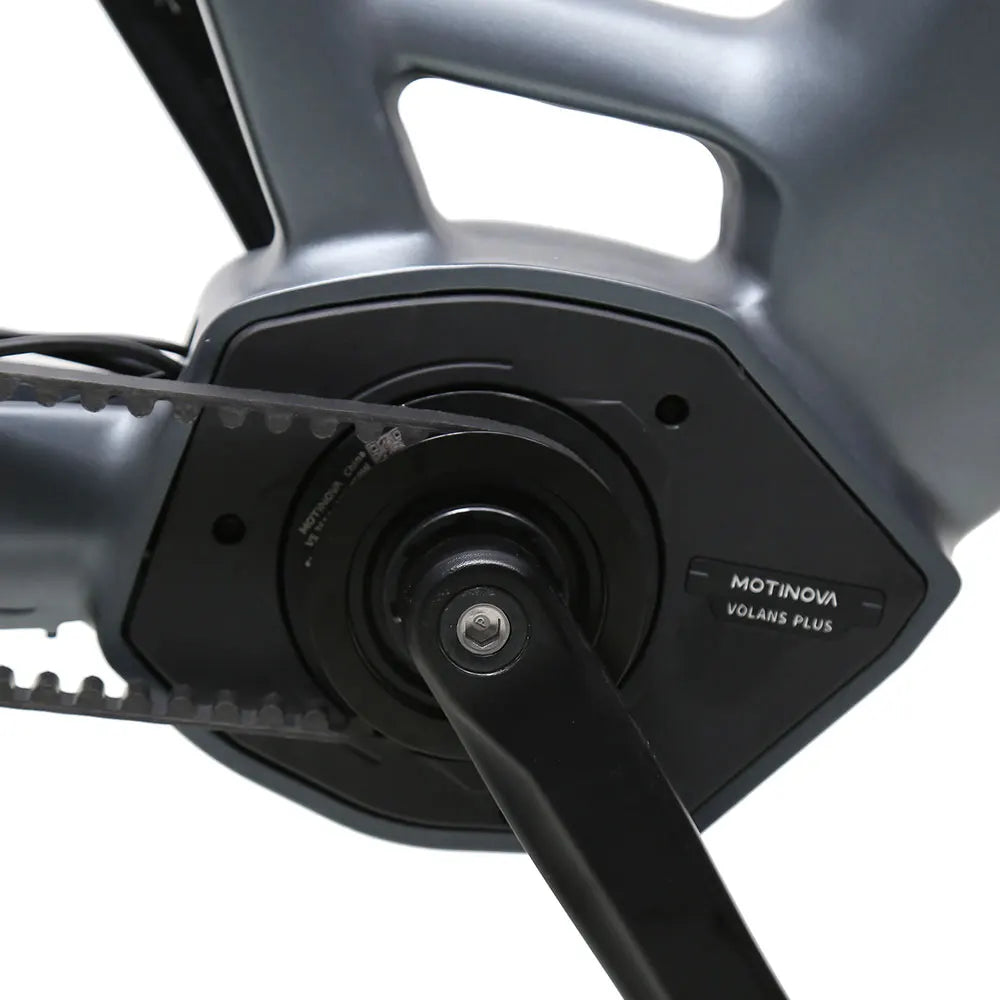 TXED Electric City Bike36V/20Ah Lithium Battery Mid Moto Nexus 8S Hydraulic Disc Brake Dutch Electric City Bike