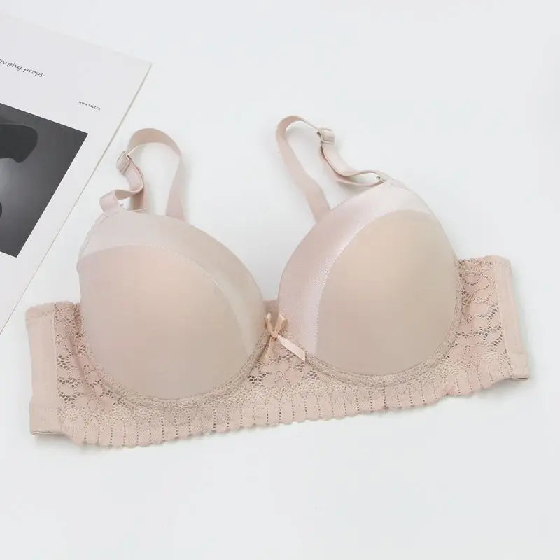 DaiNaFang Push Up Bras For Women Pink Blue Black Gray Beige White Burgundy Underwear Lace Minimize Seamless Lingerie