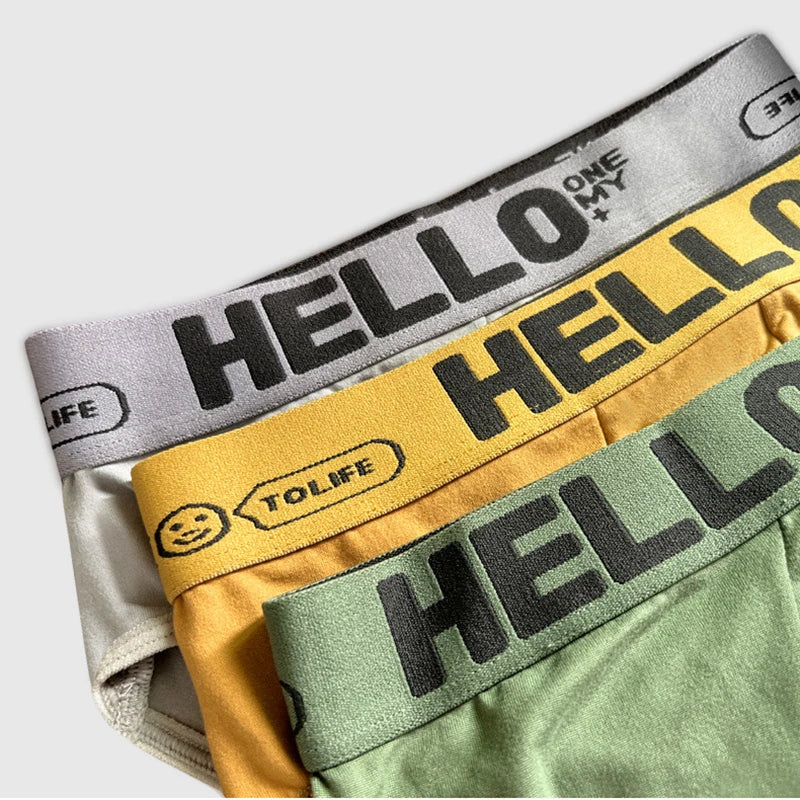 5Pcs Men Underwears Ventilate Men's Briefs Breathable Male Large Size L-5XL Comfortable Solid Underpants Fashion Boy Panties