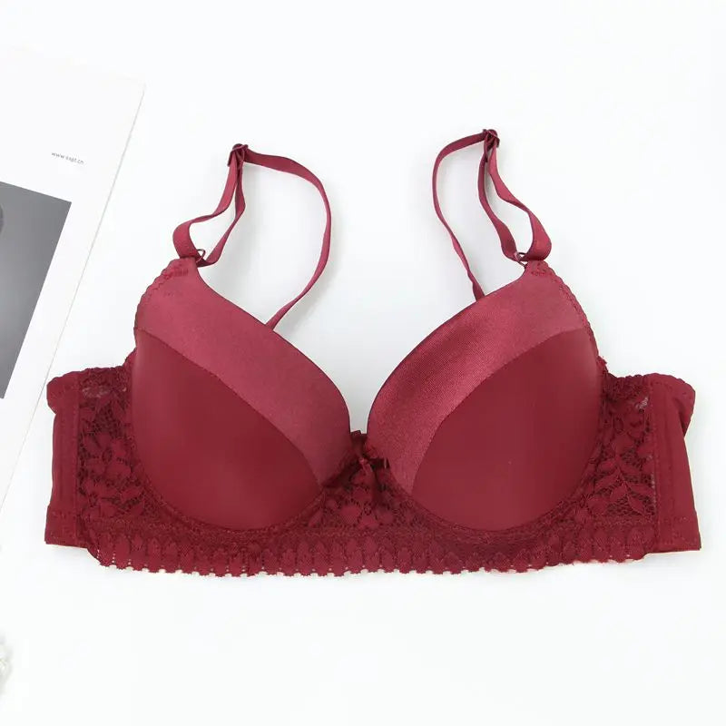 DaiNaFang Push Up Bras For Women Pink Blue Black Gray Beige White Burgundy Underwear Lace Minimize Seamless Lingerie