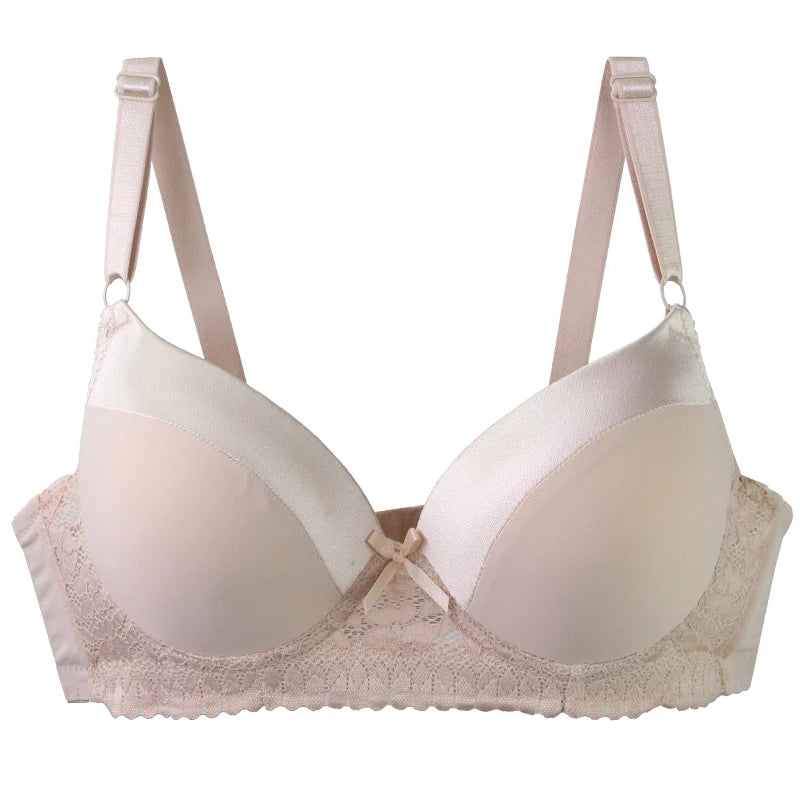 DaiNaFang Push Up Bras For Women Pink Blue Black Gray Beige White Burgundy Underwear Lace Minimize Seamless Lingerie