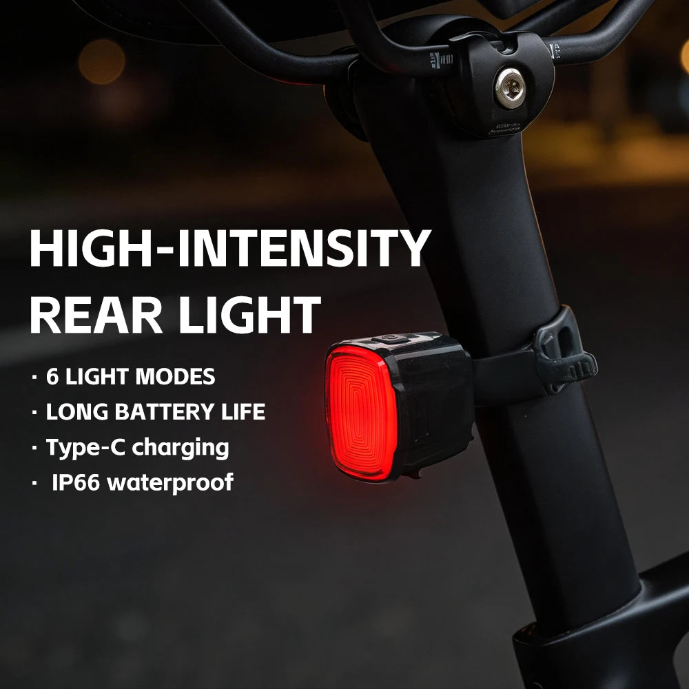 LITERIDE USB Rechargeable Bicycle Tail Light, IP66 Waterproof LED Rear Lamp for MTB Road Bike Cycling