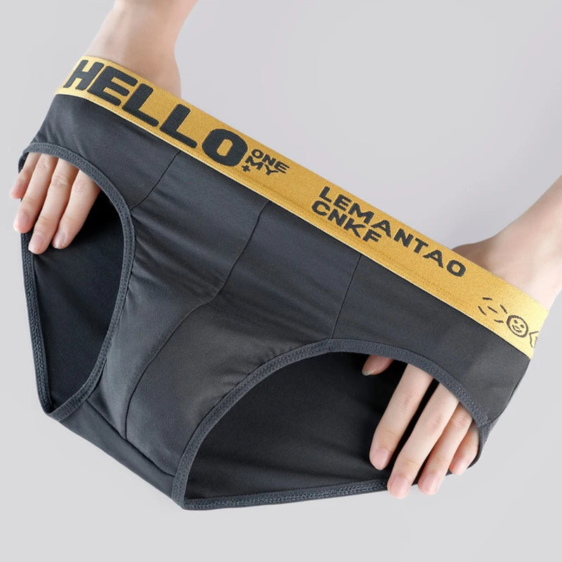 5Pcs Men Underwears Ventilate Men's Briefs Breathable Male Large Size L-5XL Comfortable Solid Underpants Fashion Boy Panties