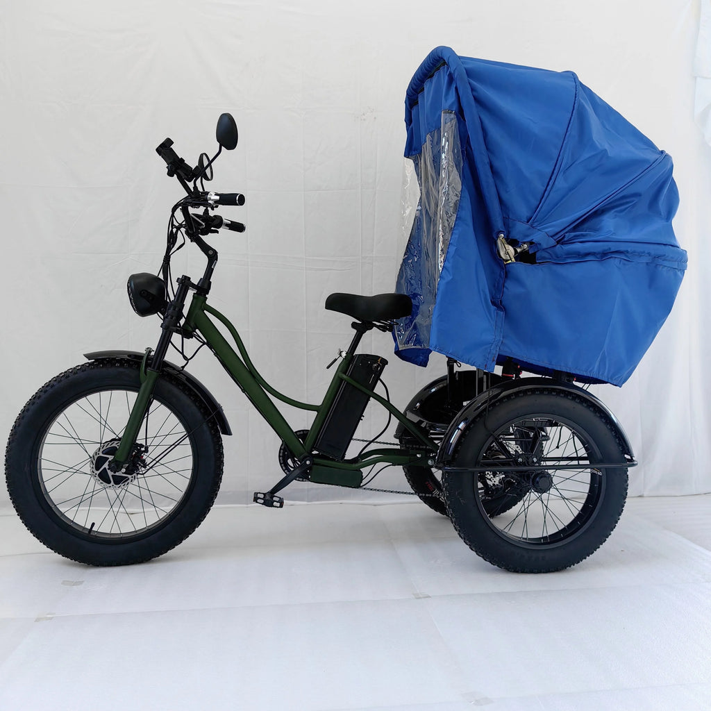 Transportation Vehicle  Bike  2024 Electric 3 Wheeler Trike Fat Tire ThreeWheel Electric Cargo Bicycle with Canopy