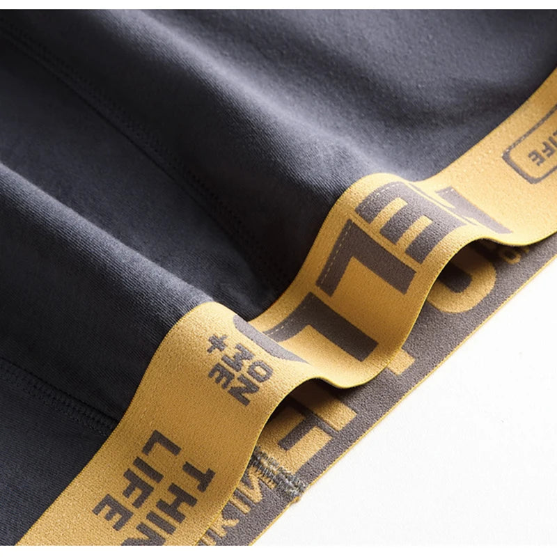 5Pcs Men Underwears Ventilate Men's Briefs Breathable Male Large Size L-5XL Comfortable Solid Underpants Fashion Boy Panties