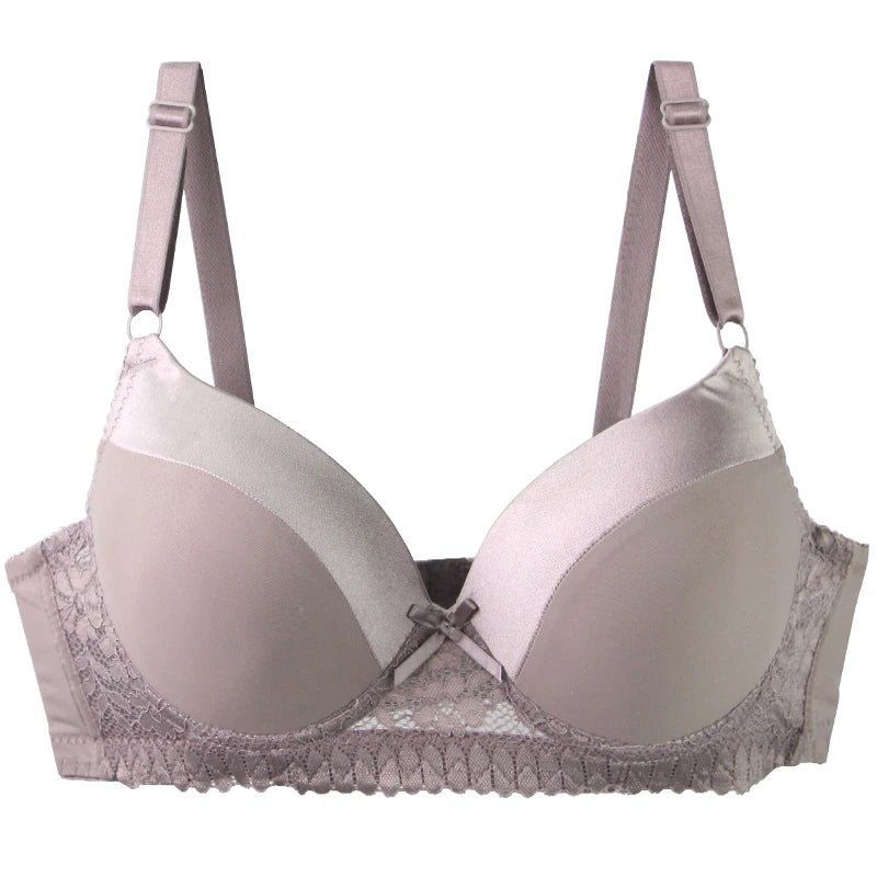 DaiNaFang Push Up Bras For Women Pink Blue Black Gray Beige White Burgundy Underwear Lace Minimize Seamless Lingerie