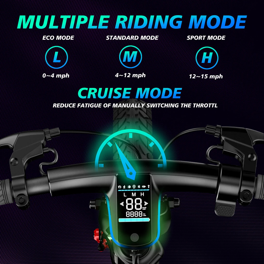 C12 12" Foldable Electric Bike 450W: 36V Portable Ebike for Chauffeur Service