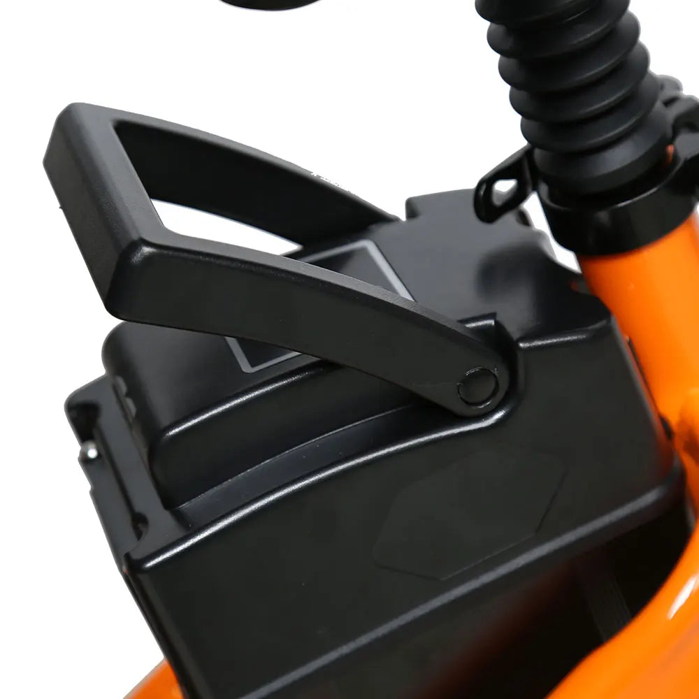 TXED Food Delivery Bicycle 20 Inch Electric Cargo Bike 48V 500W Lithium Battery Family Bike for Long Range Travel Cargo Bike