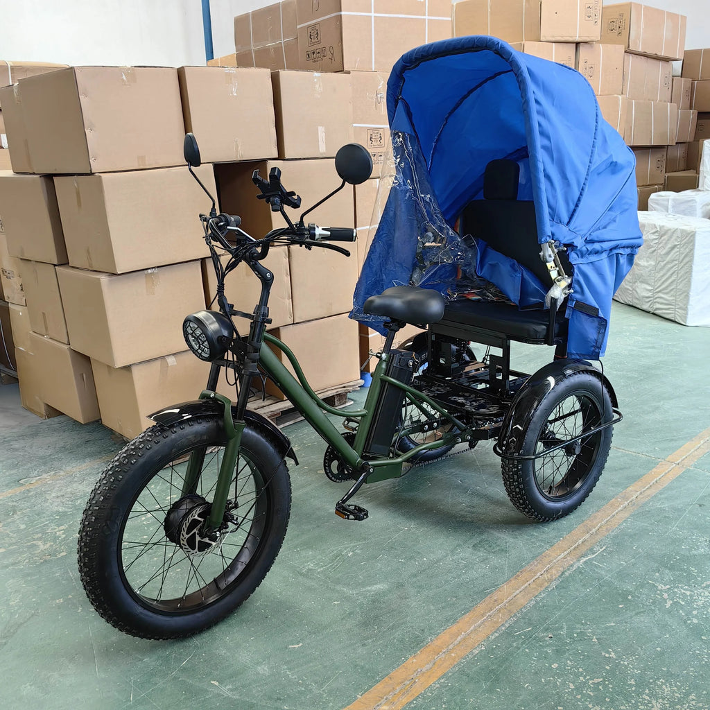 Transportation Vehicle  Bike  2024 Electric 3 Wheeler Trike Fat Tire ThreeWheel Electric Cargo Bicycle with Canopy