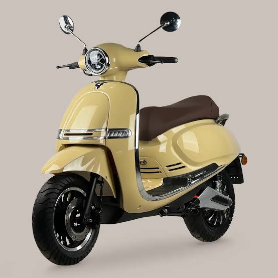 Scooter électrique TEKUON Q3 1000W